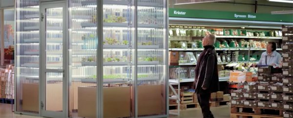 This German invention puts an actual mini farm at the end of your supermarket aisle