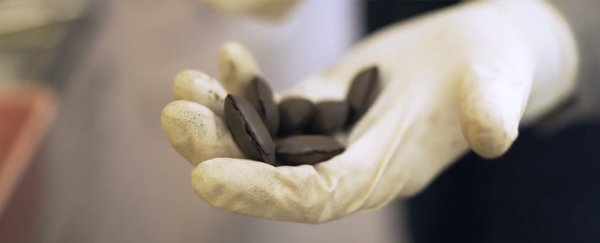 This renewable 'instant coal' could be the fuel of the future