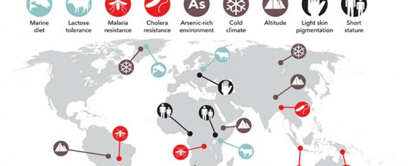 This infographic shows the extraordinary ancient genes that live on in modern populations