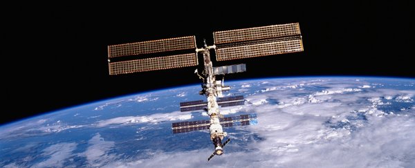 Bacteria use freaky ways to develop drug resistance once they're in space