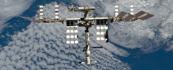 Here's why the International Space Station is riddled with "germs"