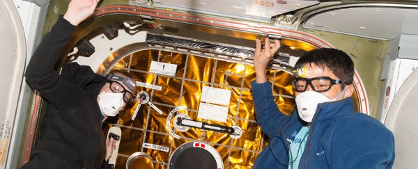 NASA astronauts are close to identifying unknown microbe colonies that grow in space