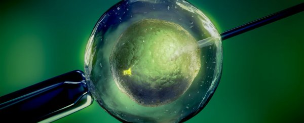 Two-dad babies could soon be a reality