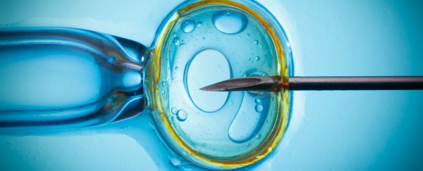 Abnormal IVF embryos can now be predicted within 30 hours of development