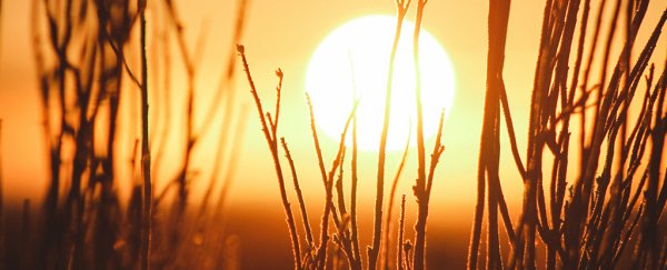 2017 is one of the hottest years on record, and this time there's no excuse