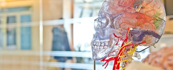 A lack of 'editing' in the brain could be what's driving the most aggressive tumours