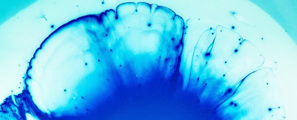 99% of the microbes in our own bodies are still a total mystery to science