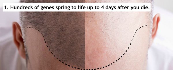 11 new facts science has revealed about the body