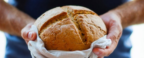 Your 'gluten sensitivity' could be explained by something else found in wheat