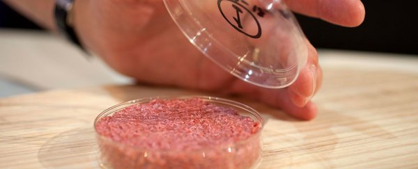 Lab-grown burgers could be on your plate by 2020