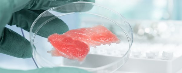 Most people would give lab-grown meat a try, new survey reveals