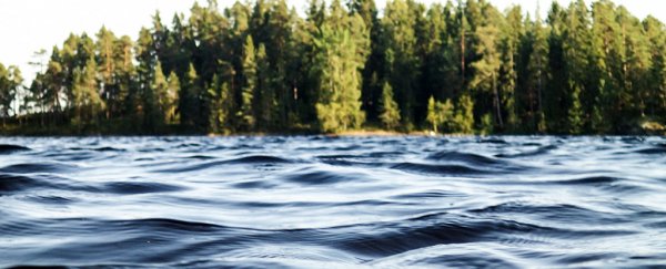 Lake waves are constantly shaking the Earth, but we don't really know why