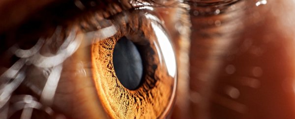The first human trials of new technique that could restore sight to the blind are about to begin