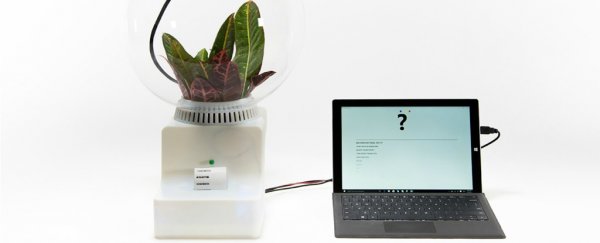 Scientists have invented a machine that lets us communicate with plants
