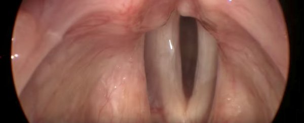 This video shot from inside a human larynx is incredible and kinda horrifying