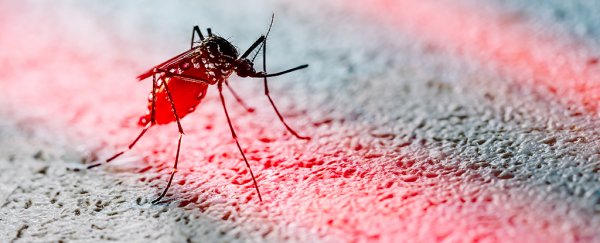 This new invention zaps harmful - and annoying - bugs with targeted laser beams
