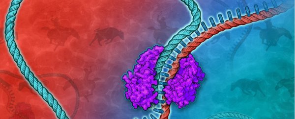 Scientists can now clone thousands of genes in a single reaction