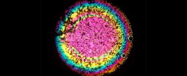 These implantable LCD lenses could replace glasses and contacts forever