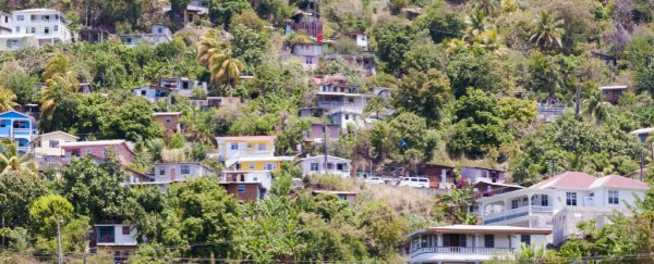 The absence of trees could increase your risk of cardiovascular disease