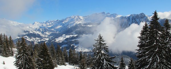 A melting Swiss glacier has revealed a missing couple buried 75 years ago