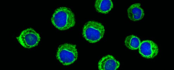 New drug causes cancer to "melt away" in patients with advanced leukaemia