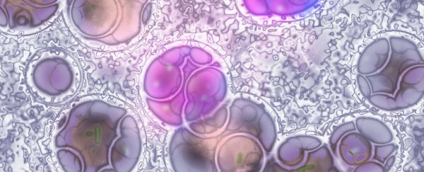 Scientists use protein-blocker to stop the spread of leukaemia