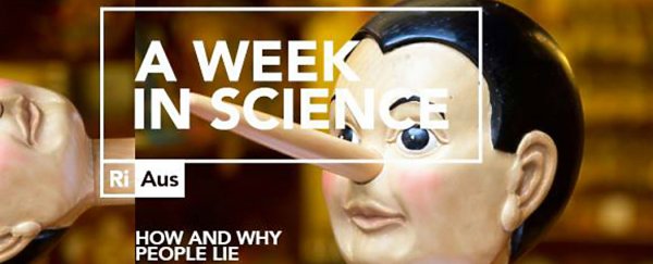 WATCH: Why we lie, according to science
