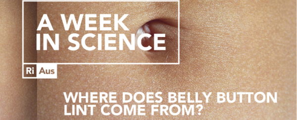 WATCH: Where does belly button lint come from?
