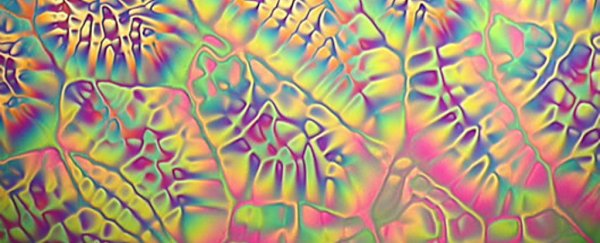 This new liquid crystal can triple the sharpness of tv and computer screens