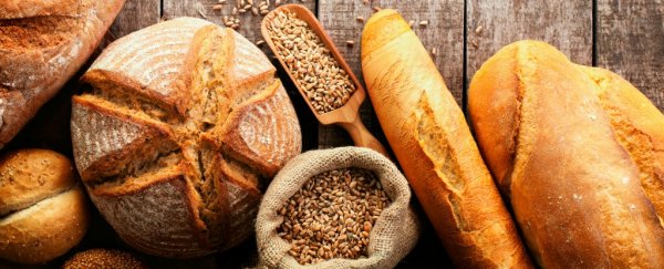 The "exact opposite" of a Palaeo diet is probably best for long life