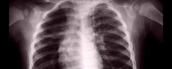 An unexpected new lung function has been found - they make blood