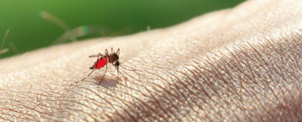 New drug has the potential to ward off malaria with a single dose