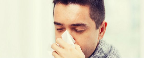 Oestrogen protects women from the flu... but not men