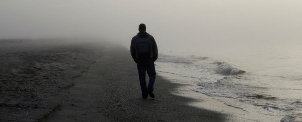New study finds significant genetic basis for sex offending
