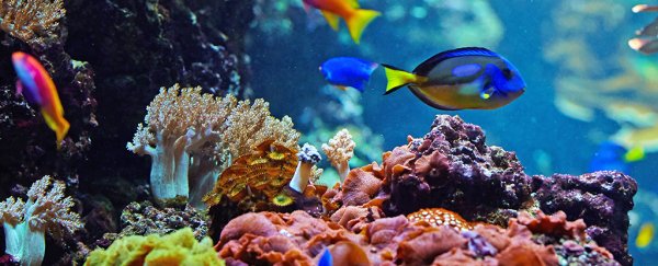 Marine ecosystems can survive the worst mass extinction events, study shows