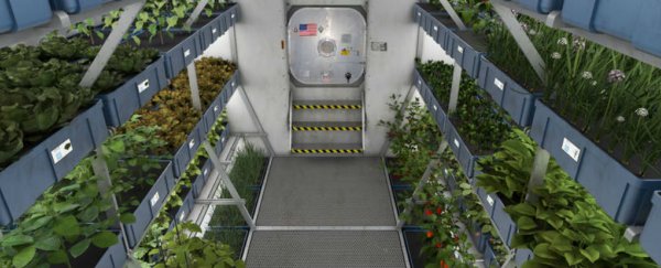 NASA astronauts will eat space lettuce for the first time today