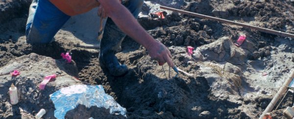 Bone discovery suggests humans were in North America 100,000 years earlier than we thought