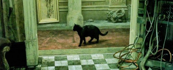 This new study might actually explain the weirdness that is déjà vu