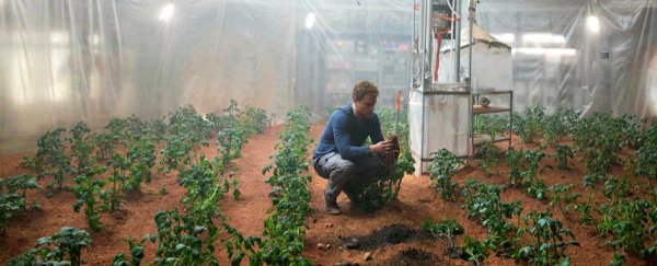 Tomatoes, peas, and 8 other crops have been grown in Mars-equivalent soil