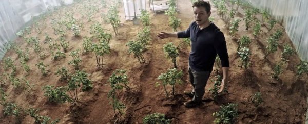 Growing potatoes on Mars could actually work, says NASA-backed experiment