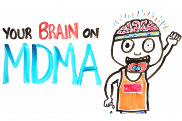 WATCH: Your Brain On MDMA