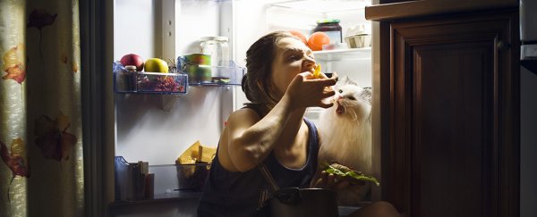 Changing meal times can alter your body clock