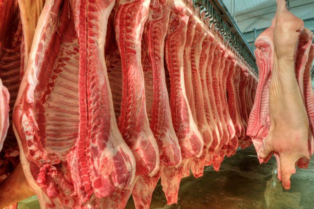 What if The Whole World Suddenly Went Vegetarian?