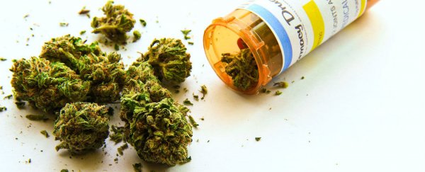Medical marijuana labels are only accurate in 17% of cases