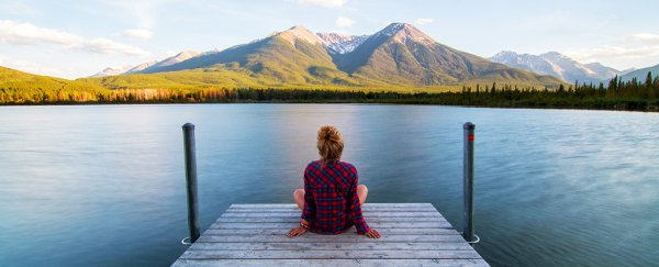 Meditation and the psychedelic drug ayahuasca seem to change the brain in surprisingly similar ways