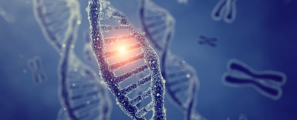 A strange new DNA edit has been discovered in animals under stress