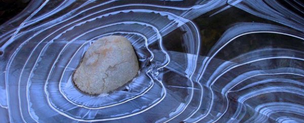 What’s causing these perfect ice rings to form around rocks?