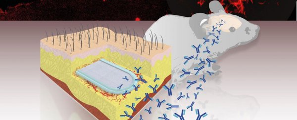 This new capsule implant releases antibodies to fight Alzheimer's disease