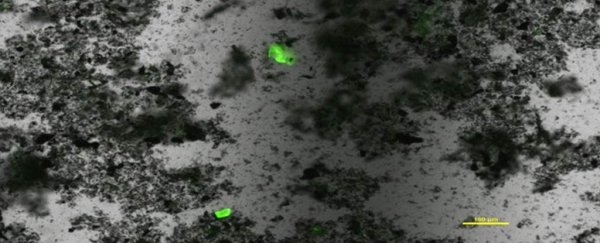 99% of ocean plastic waste is invisible, but this method could help find it