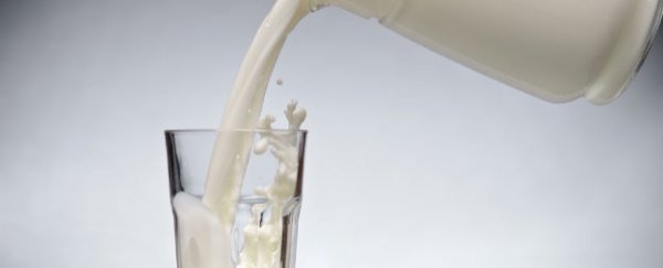 Study suggests milk doesn't strengthen your bones - it ages you instead